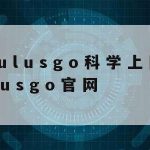 中国独有网络安全技术,中国网络安全最厉害的人