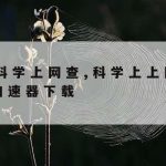 网络加速钥匙,加速网络