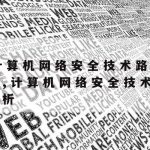 以色列的网络安全技术_以色列信息安全