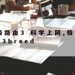 区块链网络安全技术专业_区块链在网络安全中的应用,并给出具体的应用模式