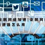 网络安全技术组织措施_网络安全所采取的措施和技术