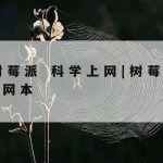 梅林科学上网插件_梅林系统科学插件