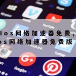 网络安全应该学会什么技术,网络安全要学哪些东西