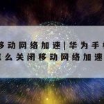 4gip网络加速器_4gip加速器下载