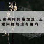 基于网络安全技术的论文–关于网络安全的毕业论文