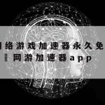 稳定科学上网|科学的上网环境