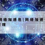 网络安全核心技术加速,网络安全的新技术