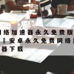 Sub网络加速器–旋风加速npv下载