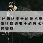 网络安全的保护技术,网络安全的保护技术有哪些