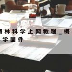 网络安全技术流视频–网络安全相关视频