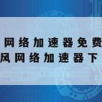 网络安全技术防护报告_网络安全防护总结