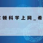 网络安全技术项目服务合同_网络安全技术项目服务合同范本