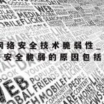 网络安全科技技术_“网络安全技术”