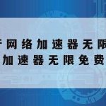 最好用的网络加速器_最好用的网络加速器app下载