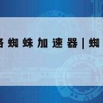 科学上网荷兰,科学的上网