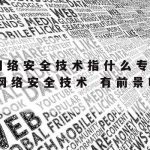 网络安全技术应用证书查询_网络安全技术查询网站