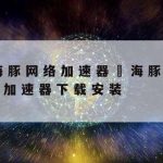 网络加速ss|网络加速什么意思