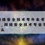 Netpas网络加速器|网络加速器官方