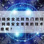 柚子科学上网,网络与柚子是什么意思