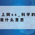 双面人网络安全技术,网络的双面性