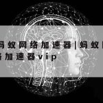 自己网络加速–网络加速有用么