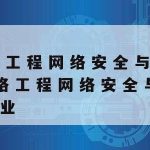 网络网速加速_网络加速设置在哪里