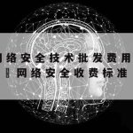 大网络安全技术–大网络安全技术是什么