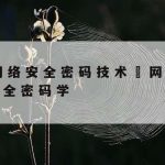 大网络安全技术–大网络安全技术是什么