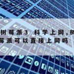 什么不属于网络安全技术|什么不属于网络安全技术的特点