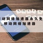 游网络加速器,网络加速器10版